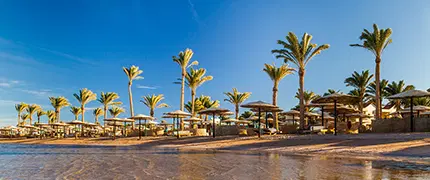 August Holiday Packages