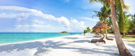 January Holiday Packages