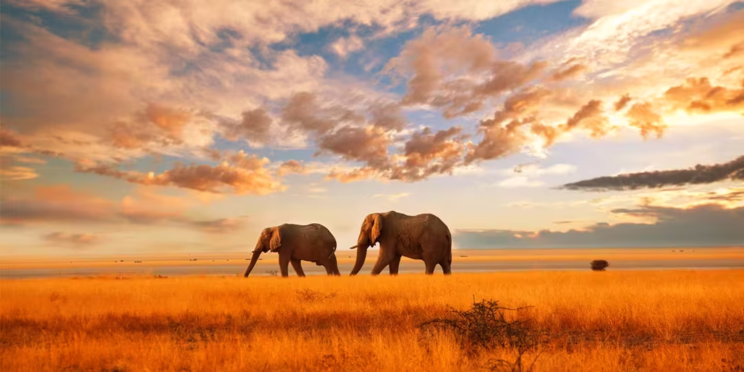 Kenya