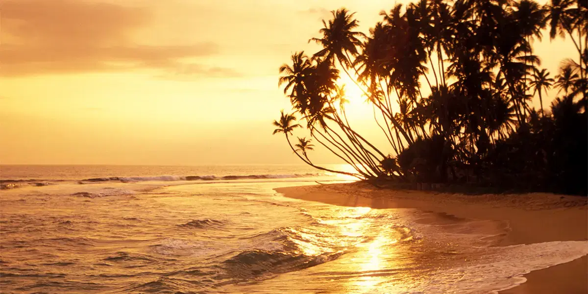 The Ultimate Sri Lankan Beach Escape & Ahungalla Safari