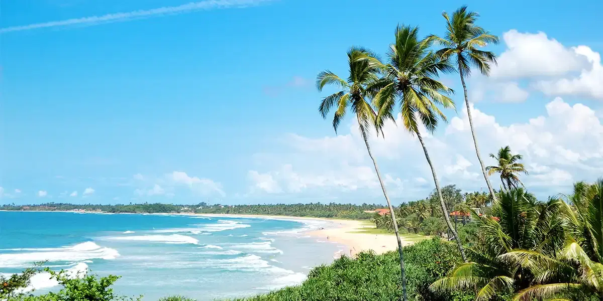 Safari Sunsets & Southern Shores of Sri Lanka