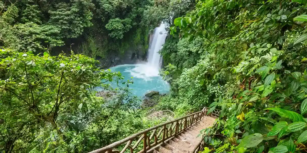 Costa Rica Ultimate Highlights: Nature, Wildlife, and Beyond