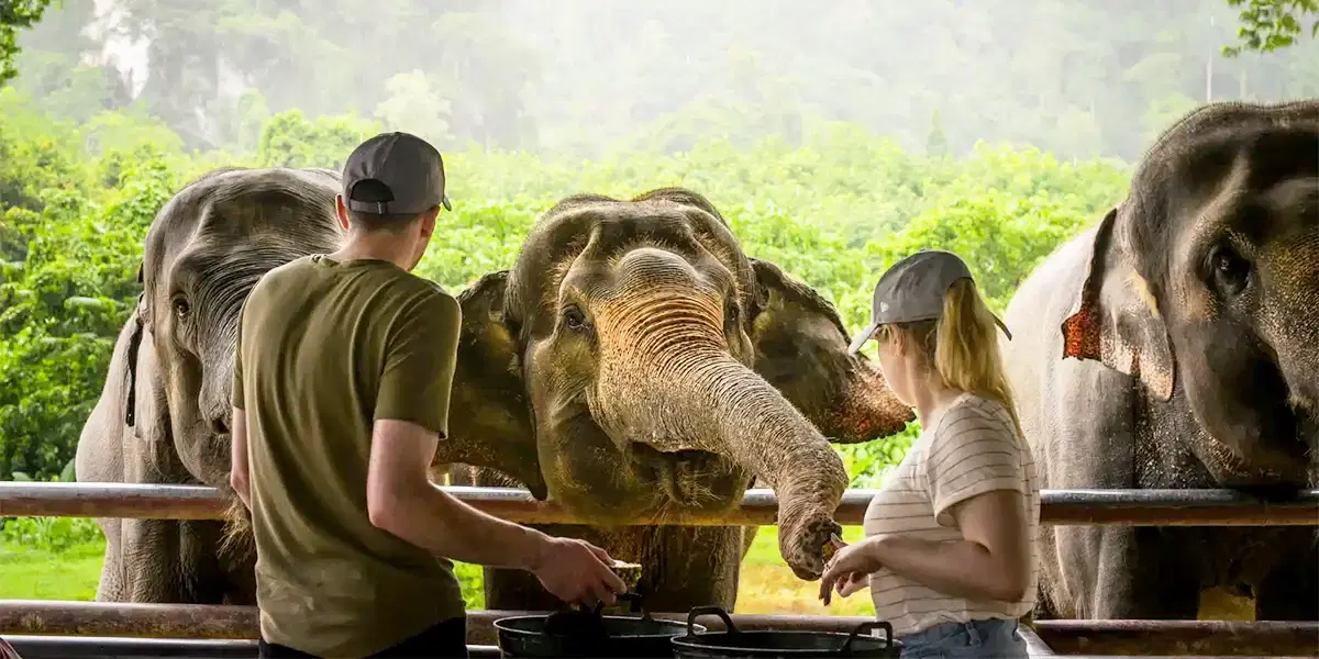 Thailand Adventure with Bangkok, Elephant Hills & Khao Lak