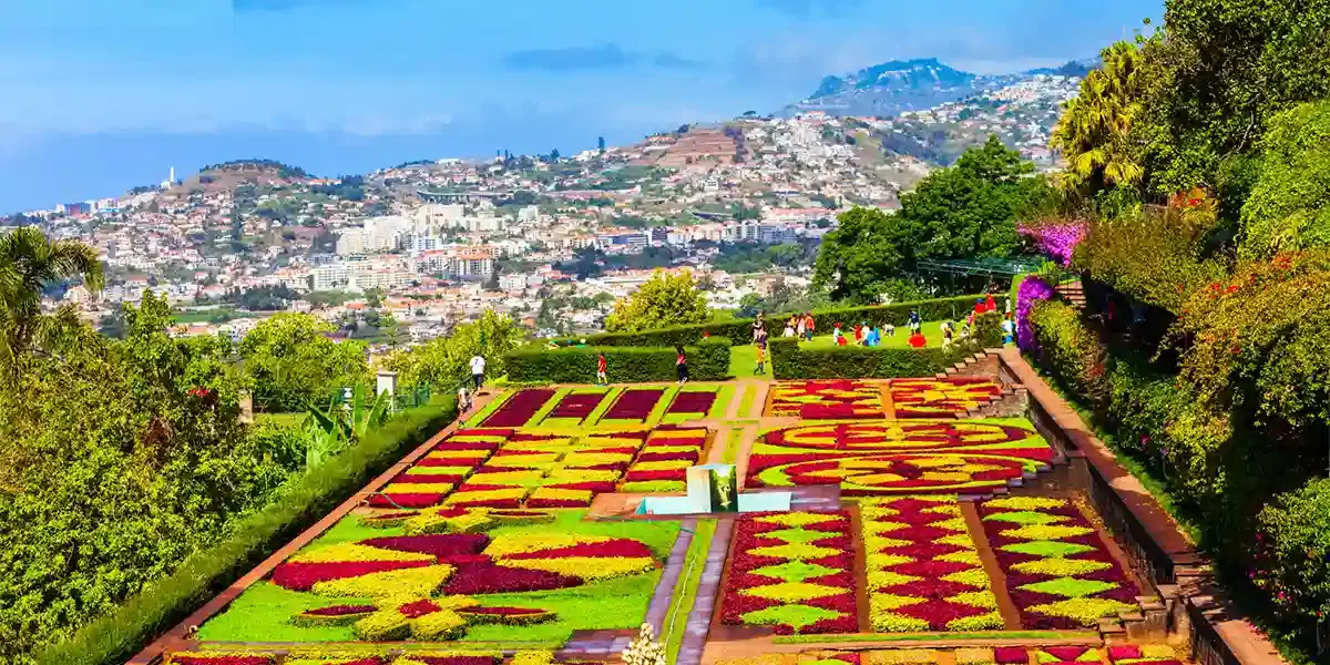 Ultimate Stay at Dreams Madeira Resort & Spa