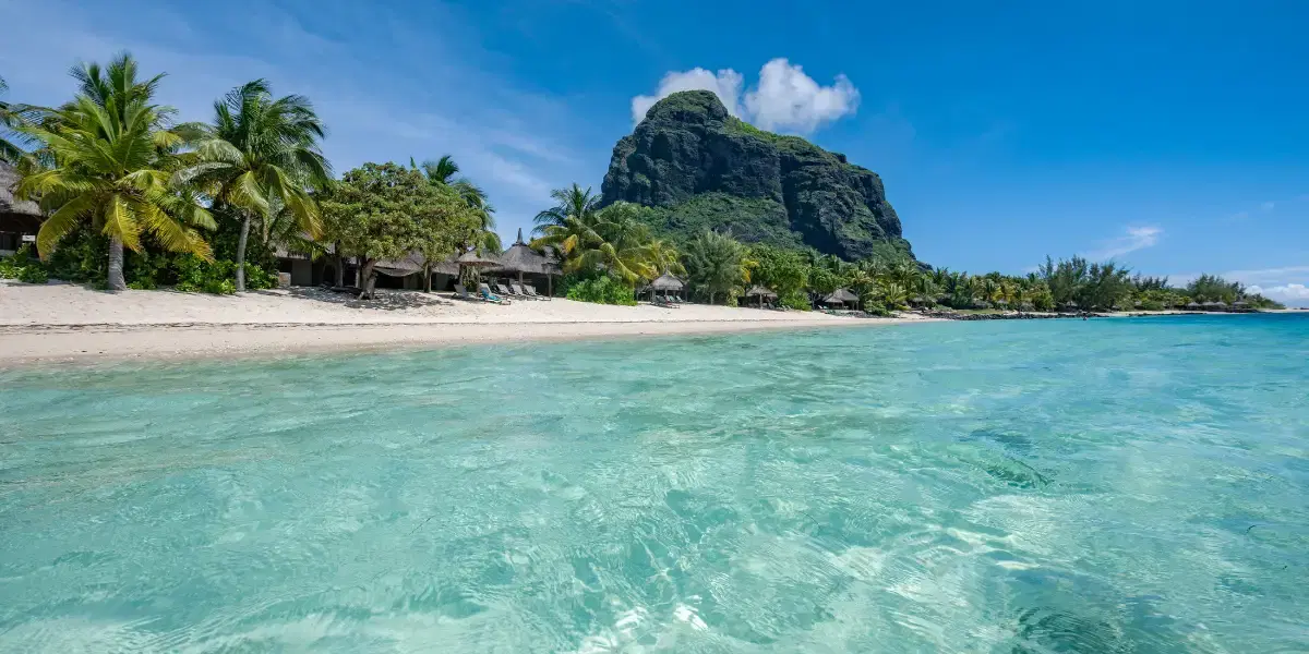 Journey from Desert Sands to Island Dreams