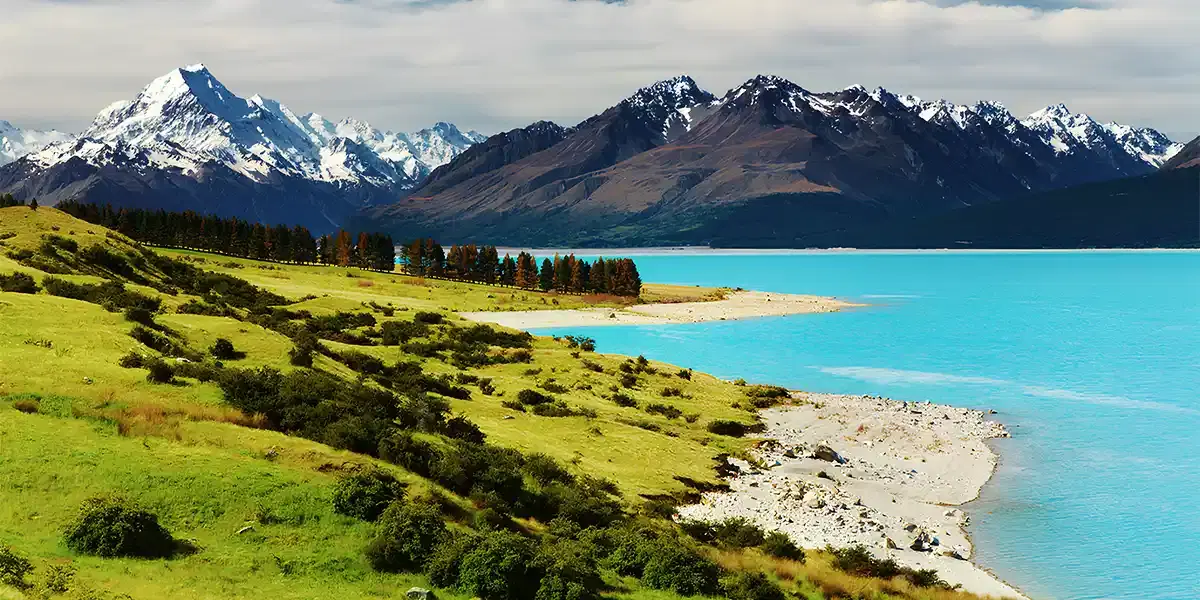 South Island Exploration Through Fjords and Wilderness