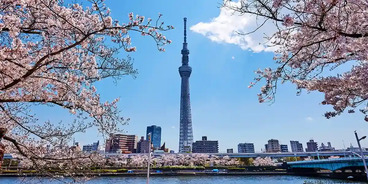 Enchanting Japan: Culture, Nature & Timeless Traditions
