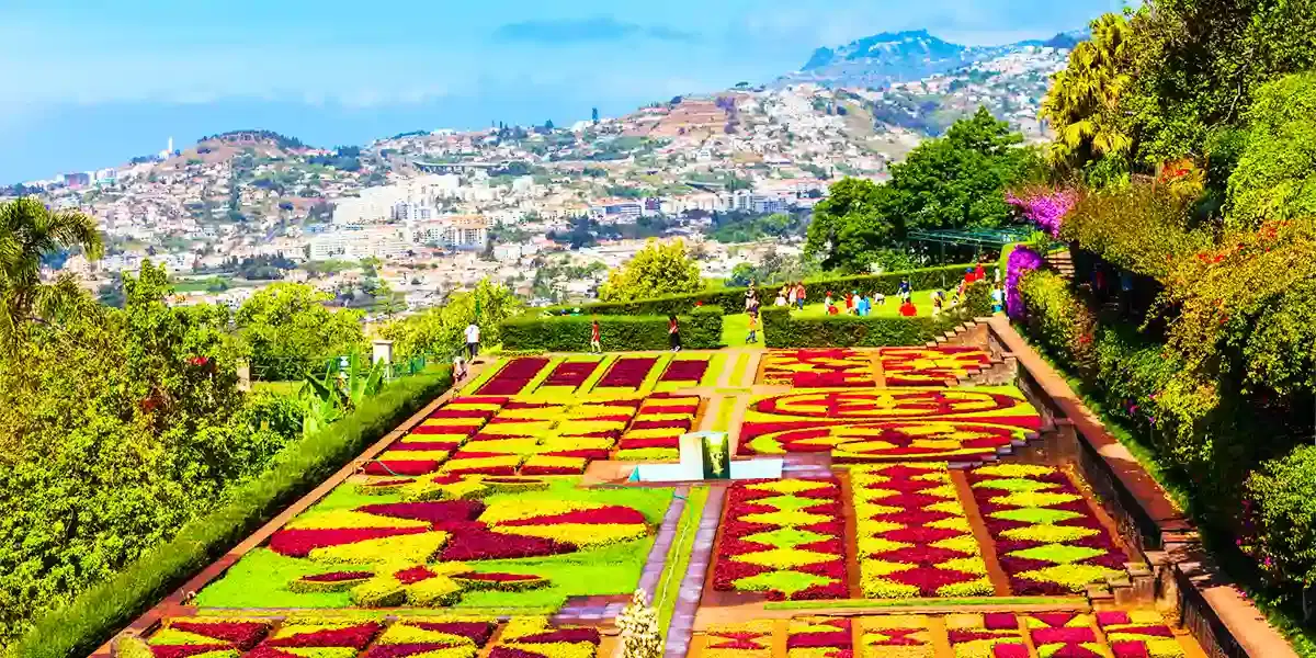Luxury Madeira Retreat with Meals & Tours