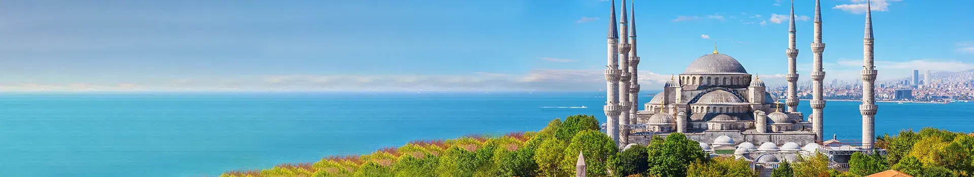 Holiday Banner