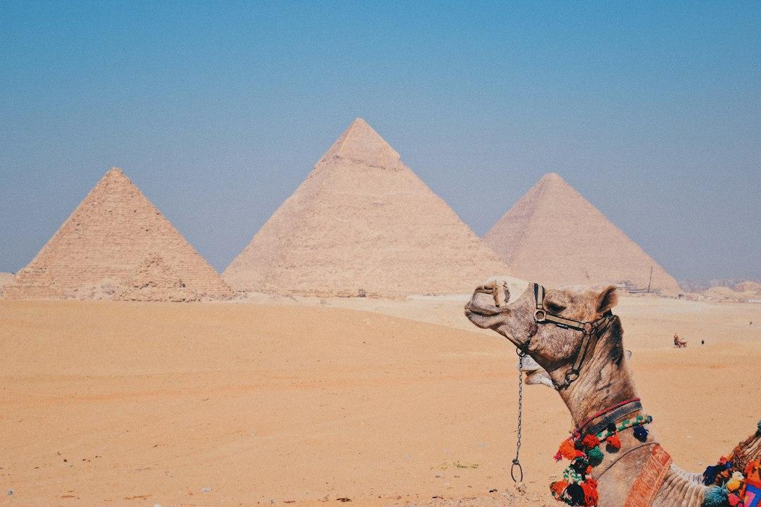 Cheap Winter Sun Holidays to Egypt — Egypt