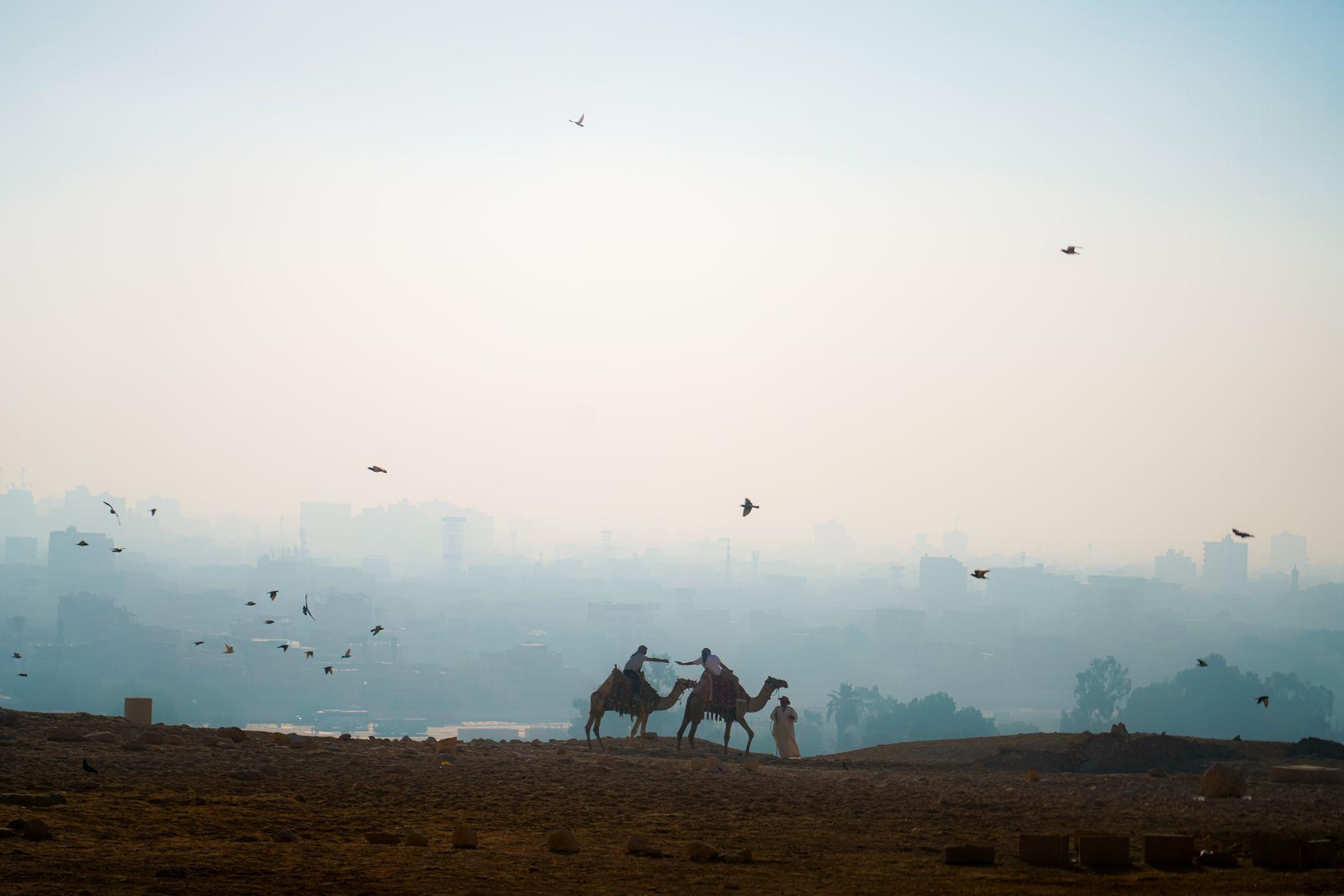 Christmas Holidays to Egypt — Egypt